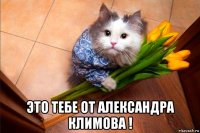  это тебе от александра климова !
