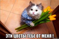  эти цветы тебе от меня !