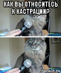 как вы относитесь к кастрации? 