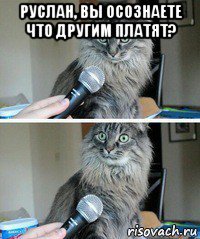 руслан, вы осознаете что другим платят? 