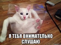  я тебя внимательно слушаю