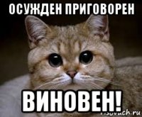 осужден приговорен виновен!
