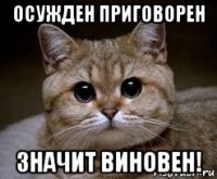 осужден приговорен значит виновен!