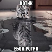 котик ебон*ротик