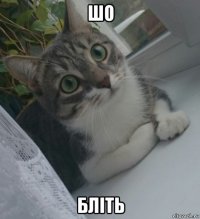 шо блiть