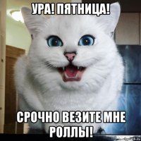 ура! пятница! срочно везите мне роллы!
