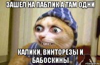 зашел на паблик а там одни калики, винторезы и бабоскины