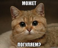 может погуляем?