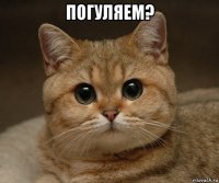 погуляем? 