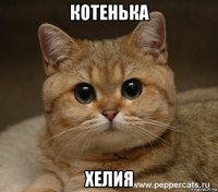 котенька хелия