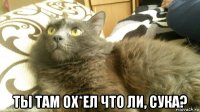  ты там ох*ел что ли, сука?