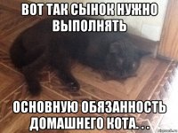 вот так сынок нужно выполнять основную обязанность домашнего кота. . .