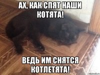 ах, как спят наши котята! ведь им снятся котлетята!