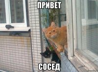 привет сосед