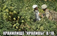 хранилище "крапивы" 8/10