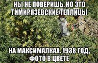 ны не поверишь, но это тимирязевские теплицы на максималках. 1938 год, фото в цвете