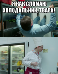 я как сломаю холодильник, твари! 