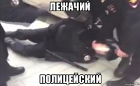 лежачий полицейский