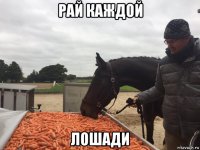 рай каждой лошади