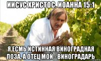 иисус христос. иоанна 15:1 я есмь истинная виноградная лоза, а отец мой - виноградарь