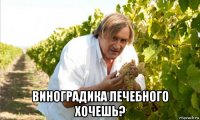  виноградика лечебного хочешь?