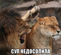  суп недосолила