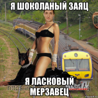 я шоколаный заяц я ласковый мерзавец