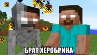  брат херобрина