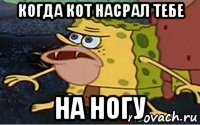 когда кот насрал тебе на ногу