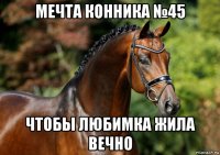 мечта конника №45 чтобы любимка жила вечно