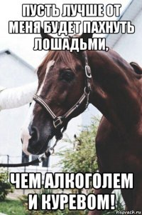 пусть лучше от меня будет пахнуть лошадьми, чем алкоголем и куревом!