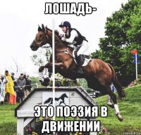 лошадь- это поэзия в движении