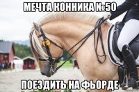 мечта конника №50 поездить на фьорде
