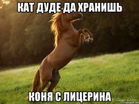 кат дуде да хранишь коня с лицерина