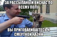 за рассыпаный вискас по всему полу вы приговариваетесь к смертной казни