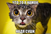 что-то я намок. надя суши.