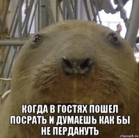  когда в гостях пошел посрать и думаешь как бы не пердануть