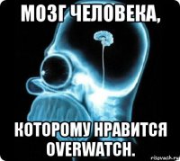 мозг человека, которому нравится overwatch.