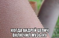  когда андрей цепич включил музыку