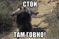 стой там говно!