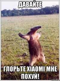 давайте глорьте xiaomi мне похуй!