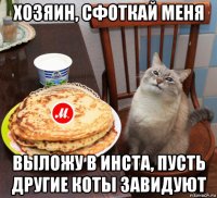 хозяин, сфоткай меня выложу в инста, пусть другие коты завидуют
