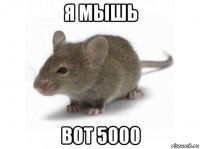 я мышь вот 5000