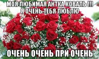 моя любимая антка коваль !!! я очень тебя люблю очень очень при очень