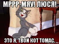 мррр-мяу! люся! это я, твой кот томас.