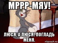 мррр-мяу! люся, а люся! погладь меня.