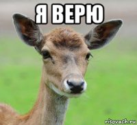 я верю 