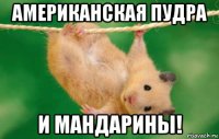 американская пудра и мандарины!