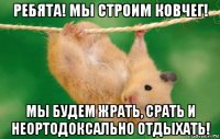 ребята! мы строим ковчег! мы будем жрать, срать и неортодоксально отдыхать!