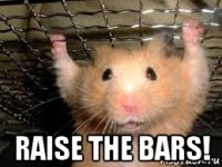  raise the bars!